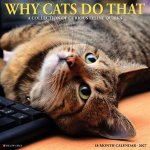 Why Cats Do That 2027 12 X 12 Wall Calendar