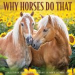 Why Horses Do That 2027 12 X 12 Wall Calendar