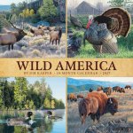 Wild America 2027 12 X 12 Wall Calendar