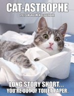 Cat-Astrophe 2027 6.5 X 8.5 Engagement Calendar
