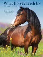 What Horses Teach Us 2027 6.5 X 8.5 Engagement Calendar