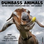 Dumbass Animals 2027 12 X 12 Wall Calendar