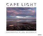 Joel Meyerowitz