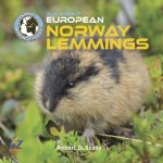 All about European Norway Lemmings