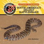 South America's Deadly Rattlesnake