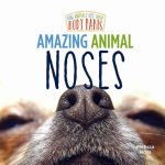 Amazing Animal Noses