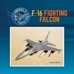F-16 Fighting Falcon