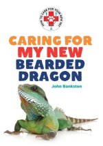 Caring for My New Bearded Dragon