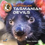 All about Australian Tasmanian Devils