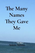 The Many Names They Gave Me