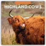 Highland Cows - Hochland Kühe 2027 - 16-Monatskalender