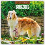Borzois - Barsoi - Barzaia - Russischer Wolfshund 2027 - 16-Monatskalender
