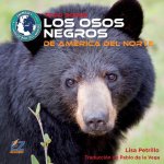 Todo Sobre Los Osos Negros de América del Norte