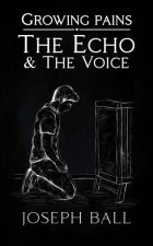 The Echo And The Voice