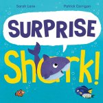 Surprise Shark!