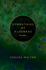 Symmetries of Algebras (Volume 1)