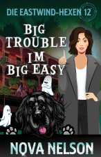 Big Trouble Im Big Easy