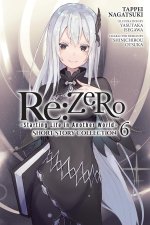 RE: Zero -Starting Life in Another World- Short Story Collection, Vol. 6 (Light Novel)