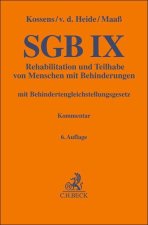 SGB IX