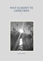 Wat schijnt te gebeuren