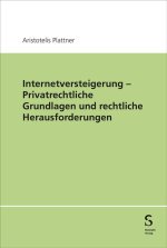 Internetversteigerung - Privatrechtliche Grundlagen und rechtliche Herausforderungen