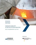Energieflexibilität in der deutschen Industrie