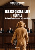 L'irresponsabilité pénale, un épiphénomène qui fait scandale