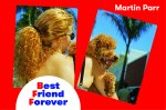 Best Friend Forever