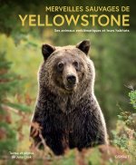 Merveilles sauvages de Yellowstone