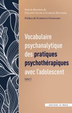 Vocabulaire psychanalytique des pratiques psychotérapiques avec l'adolescent