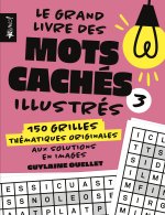 Le grand livre des mots cachés illustrés 3