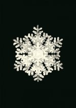 Carnet - Flocons de neige