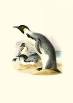 Carnet - Erebus et Terror en Antarctique