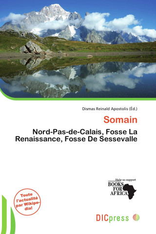 Somain