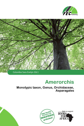 Amerorchis