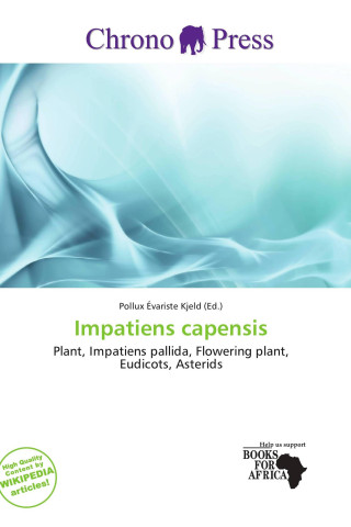 Impatiens capensis