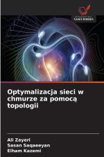 Optymalizacja sieci w chmurze za pomoc¿ topologii