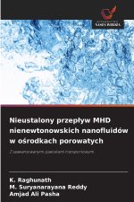 Nieustalony przepływ MHD nienewtonowskich nanofluidów w ośrodkach porowatych