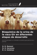 Bioquímica de la orina de la vaca Gir en diferentes etapas de desarrollo