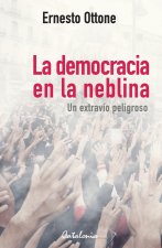 La democracia en la neblina