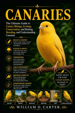 CANARIES