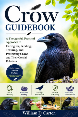 Crow Guidebook