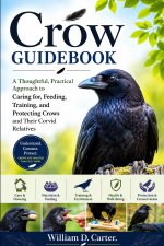 Crow Guidebook