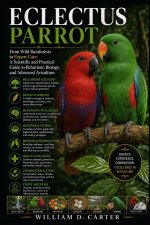 ECLECTUS PARROT