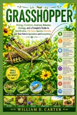 Grasshopper