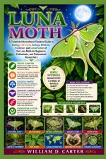 LUNA MOTH