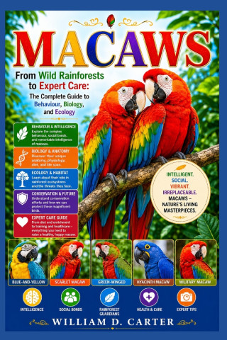 MACAWS