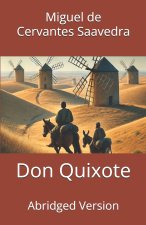 Don Quixote