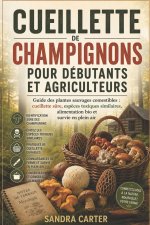 Cueillette de champignons pour débutants et agriculteurs