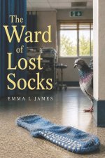 The Ward of Lost Socks